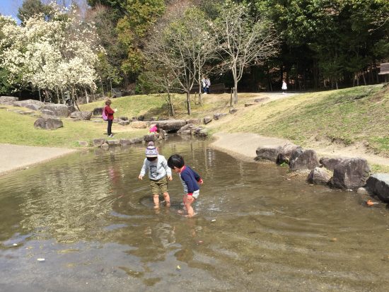鴻巣山公園　水遊び