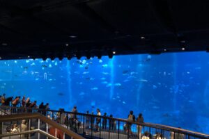 シンガポール　水族館