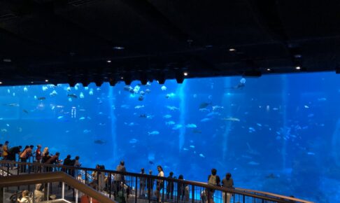 シンガポール　水族館